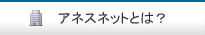 アネスネットとは